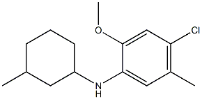 4-chloro-2-methoxy-5-methyl-N-(3-methylcyclohexyl)aniline 구조식 이미지