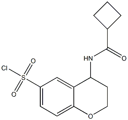 4-cyclobutaneamido-3,4-dihydro-2H-1-benzopyran-6-sulfonyl chloride 구조식 이미지