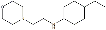 4-ethyl-N-[2-(morpholin-4-yl)ethyl]cyclohexan-1-amine Structure