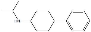 4-phenyl-N-(propan-2-yl)cyclohexan-1-amine 구조식 이미지