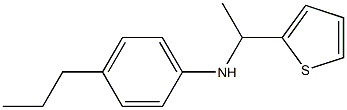 4-propyl-N-[1-(thiophen-2-yl)ethyl]aniline 구조식 이미지