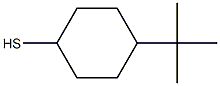 4-tert-butylcyclohexane-1-thiol Structure