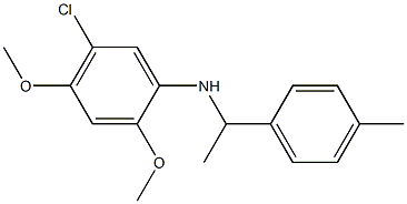 5-chloro-2,4-dimethoxy-N-[1-(4-methylphenyl)ethyl]aniline Structure