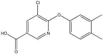 5-chloro-6-(3,4-dimethylphenoxy)pyridine-3-carboxylic acid 구조식 이미지