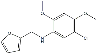 5-chloro-N-(furan-2-ylmethyl)-2,4-dimethoxyaniline Structure