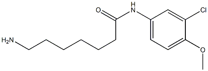 7-amino-N-(3-chloro-4-methoxyphenyl)heptanamide Structure