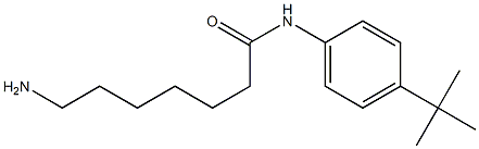 7-amino-N-(4-tert-butylphenyl)heptanamide Structure