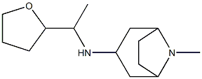 8-methyl-N-[1-(oxolan-2-yl)ethyl]-8-azabicyclo[3.2.1]octan-3-amine Structure