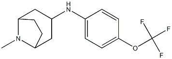 8-methyl-N-[4-(trifluoromethoxy)phenyl]-8-azabicyclo[3.2.1]octan-3-amine Structure