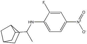 N-(1-{bicyclo[2.2.1]heptan-2-yl}ethyl)-2-fluoro-4-nitroaniline Structure