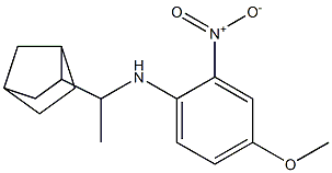 N-(1-{bicyclo[2.2.1]heptan-2-yl}ethyl)-4-methoxy-2-nitroaniline 구조식 이미지