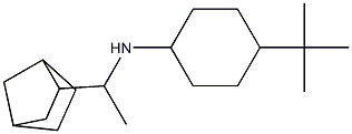 N-(1-{bicyclo[2.2.1]heptan-2-yl}ethyl)-4-tert-butylcyclohexan-1-amine 구조식 이미지