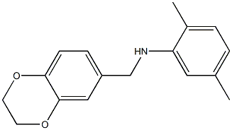 N-(2,3-dihydro-1,4-benzodioxin-6-ylmethyl)-2,5-dimethylaniline 구조식 이미지