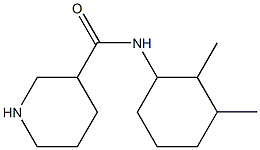 N-(2,3-dimethylcyclohexyl)piperidine-3-carboxamide Structure