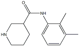N-(2,3-dimethylphenyl)piperidine-3-carboxamide Structure
