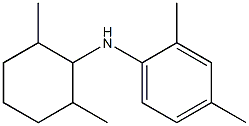 N-(2,6-dimethylcyclohexyl)-2,4-dimethylaniline 구조식 이미지