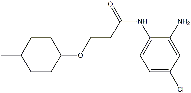 N-(2-amino-4-chlorophenyl)-3-[(4-methylcyclohexyl)oxy]propanamide Structure