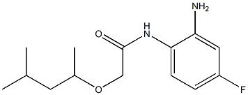 N-(2-amino-4-fluorophenyl)-2-[(4-methylpentan-2-yl)oxy]acetamide Structure