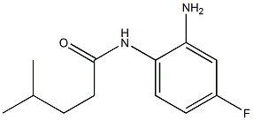 N-(2-amino-4-fluorophenyl)-4-methylpentanamide Structure