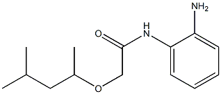 N-(2-aminophenyl)-2-[(4-methylpentan-2-yl)oxy]acetamide 구조식 이미지