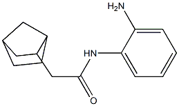 N-(2-aminophenyl)-2-{bicyclo[2.2.1]heptan-2-yl}acetamide 구조식 이미지