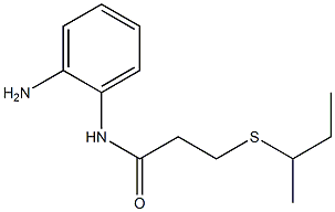 N-(2-aminophenyl)-3-(butan-2-ylsulfanyl)propanamide 구조식 이미지