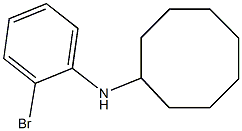 N-(2-bromophenyl)cyclooctanamine Structure