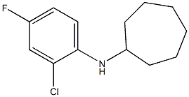 N-(2-chloro-4-fluorophenyl)cycloheptanamine 구조식 이미지