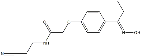 N-(2-cyanoethyl)-2-{4-[(1E)-N-hydroxypropanimidoyl]phenoxy}acetamide Structure