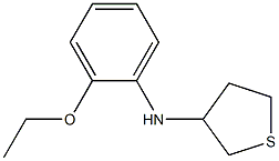 N-(2-ethoxyphenyl)thiolan-3-amine 구조식 이미지