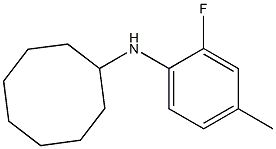 N-(2-fluoro-4-methylphenyl)cyclooctanamine 구조식 이미지