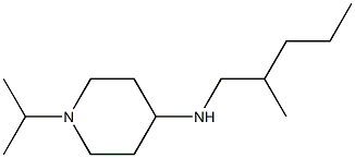 N-(2-methylpentyl)-1-(propan-2-yl)piperidin-4-amine Structure