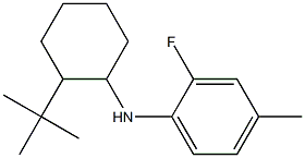 N-(2-tert-butylcyclohexyl)-2-fluoro-4-methylaniline Structure