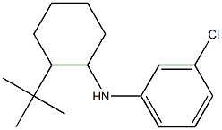 N-(2-tert-butylcyclohexyl)-3-chloroaniline Structure