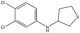 N-(3,4-dichlorophenyl)thiolan-3-amine 구조식 이미지