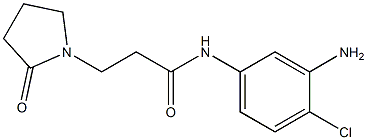 N-(3-amino-4-chlorophenyl)-3-(2-oxopyrrolidin-1-yl)propanamide 구조식 이미지