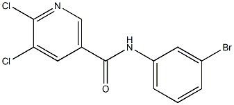 N-(3-bromophenyl)-5,6-dichloronicotinamide 구조식 이미지