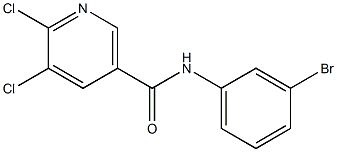 N-(3-bromophenyl)-5,6-dichloronicotinamide Structure