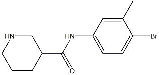 N-(4-bromo-3-methylphenyl)piperidine-3-carboxamide Structure