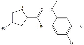 N-(4-chloro-2,5-dimethoxyphenyl)-4-hydroxypyrrolidine-2-carboxamide 구조식 이미지