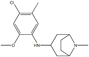 N-(4-chloro-2-methoxy-5-methylphenyl)-8-methyl-8-azabicyclo[3.2.1]octan-3-amine Structure