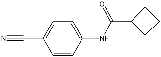 N-(4-cyanophenyl)cyclobutanecarboxamide 구조식 이미지