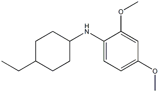 N-(4-ethylcyclohexyl)-2,4-dimethoxyaniline 구조식 이미지