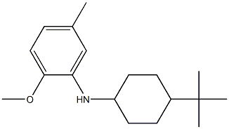 N-(4-tert-butylcyclohexyl)-2-methoxy-5-methylaniline 구조식 이미지