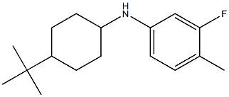 N-(4-tert-butylcyclohexyl)-3-fluoro-4-methylaniline Structure