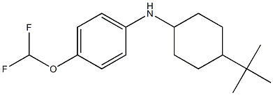 N-(4-tert-butylcyclohexyl)-4-(difluoromethoxy)aniline Structure