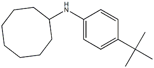 N-(4-tert-butylphenyl)cyclooctanamine 구조식 이미지