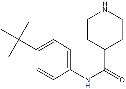 N-(4-tert-butylphenyl)piperidine-4-carboxamide Structure