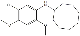 N-(5-chloro-2,4-dimethoxyphenyl)cyclooctanamine 구조식 이미지