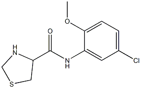 N-(5-chloro-2-methoxyphenyl)-1,3-thiazolidine-4-carboxamide Structure